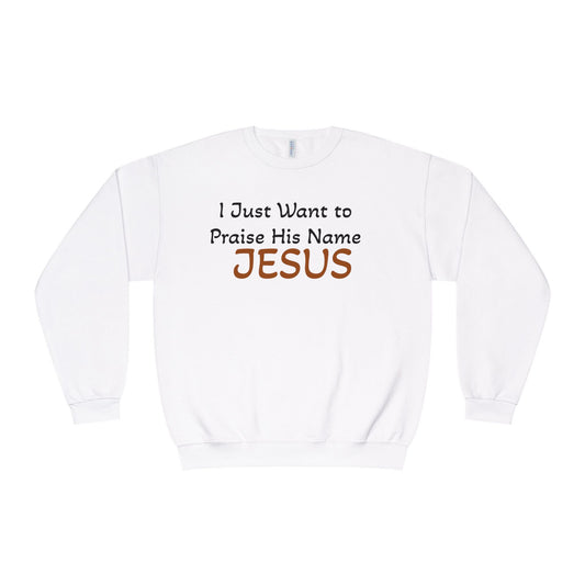 Chirstian/Faith Sweatshirt — "Just Want to Praise His Name JESUS"